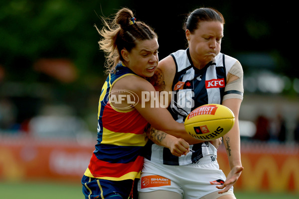 AFLW 2022 S7 Second Semi Final - Adelaide v Collingwood - A-551345