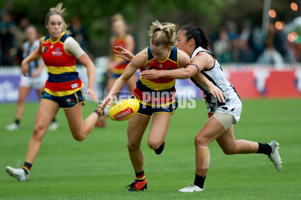 AFLW 2022 S7 Second Semi Final - Adelaide v Collingwood - A-551856