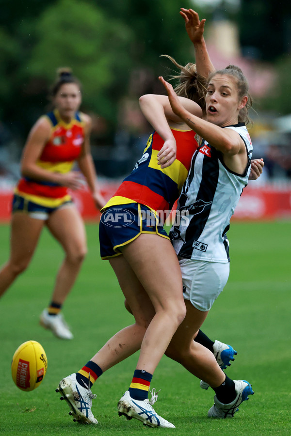 AFLW 2022 S7 Second Semi Final - Adelaide v Collingwood - A-554110