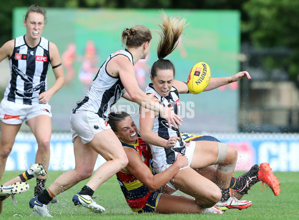 AFLW 2022 S7 Second Semi Final - Adelaide v Collingwood - A-554120