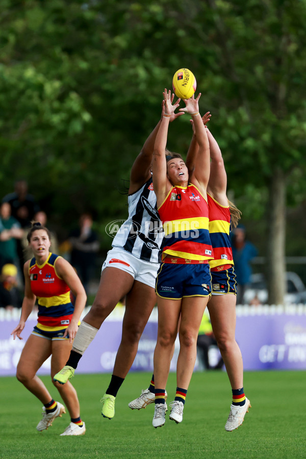 AFLW 2022 S7 Second Semi Final - Adelaide v Collingwood - A-554397