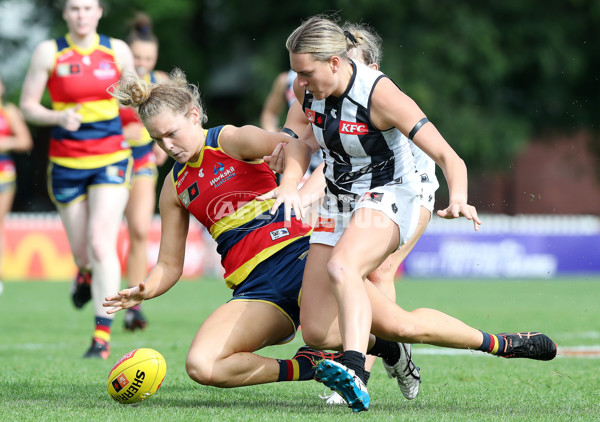 AFLW 2022 S7 Second Semi Final - Adelaide v Collingwood - A-556615