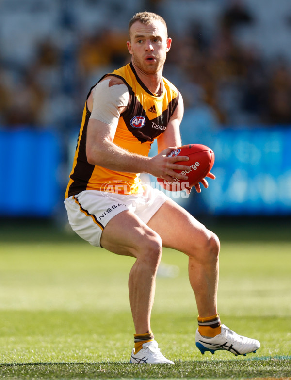 AFL 2021 Round 15 - GWS v Hawthorn - 863908