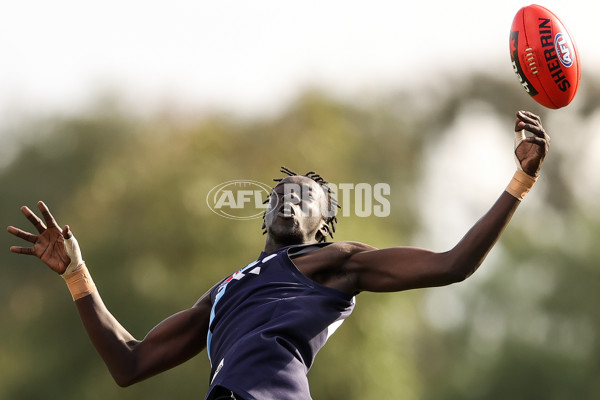 AFL U19 Trial - Vic Metro v Vic Country - 863958