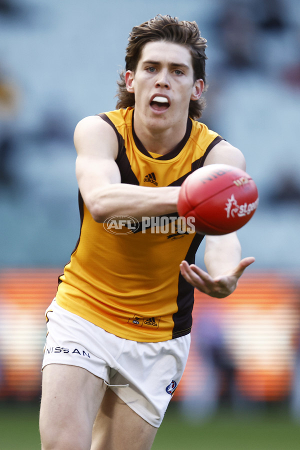 AFL 2021 Round 15 - GWS v Hawthorn - 863937