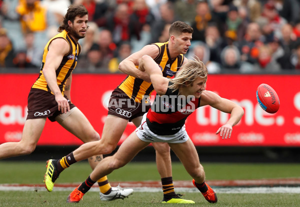AFL 2018 Round 20 - Hawthorn v Essendon - 617129