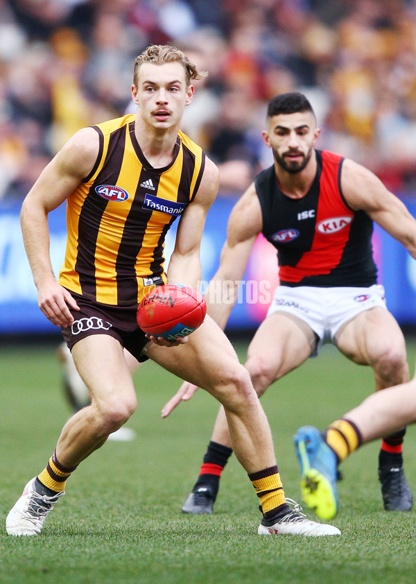 AFL 2018 Round 20 - Hawthorn v Essendon - 617186