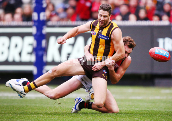 AFL 2018 Round 20 - Hawthorn v Essendon - 617193