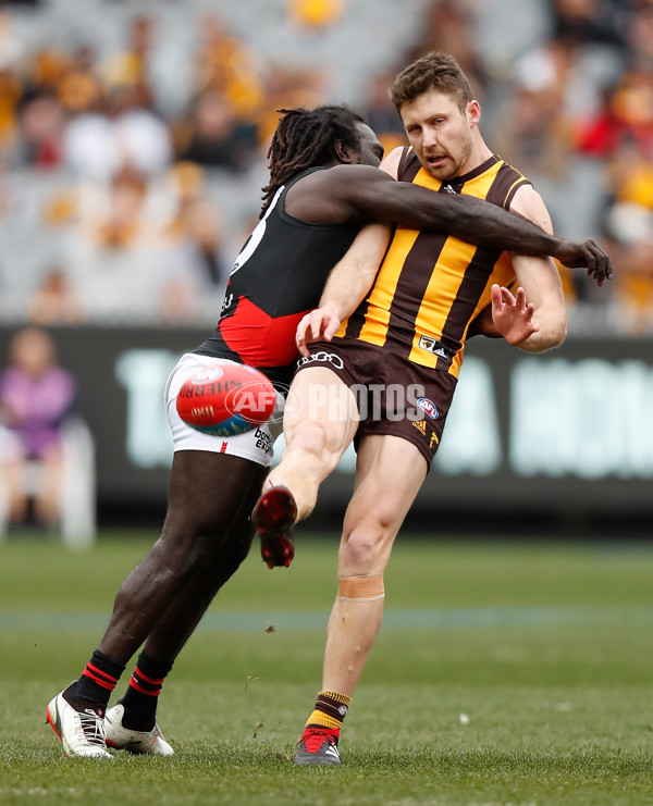 AFL 2018 Round 20 - Hawthorn v Essendon - 617188