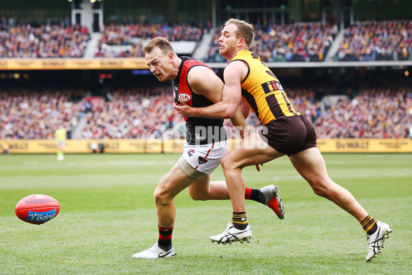 AFL 2018 Round 20 - Hawthorn v Essendon - 617222