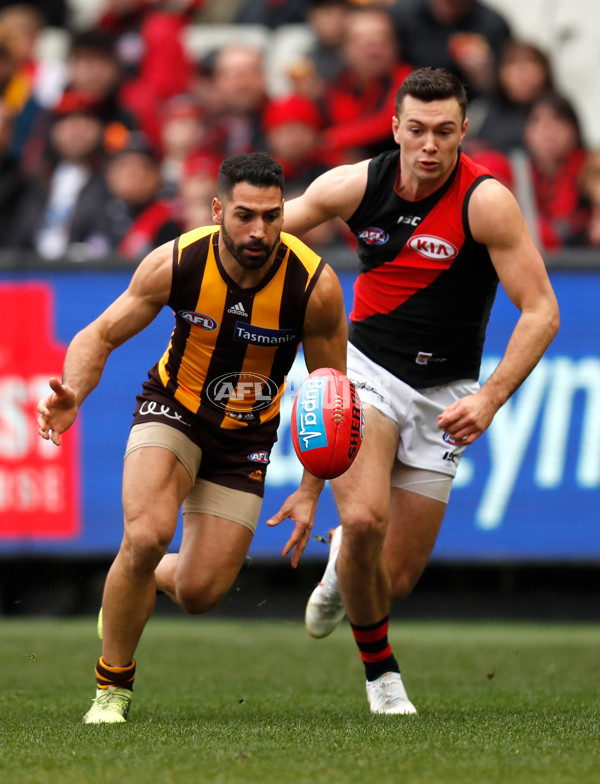 AFL 2018 Round 20 - Hawthorn v Essendon - 617175