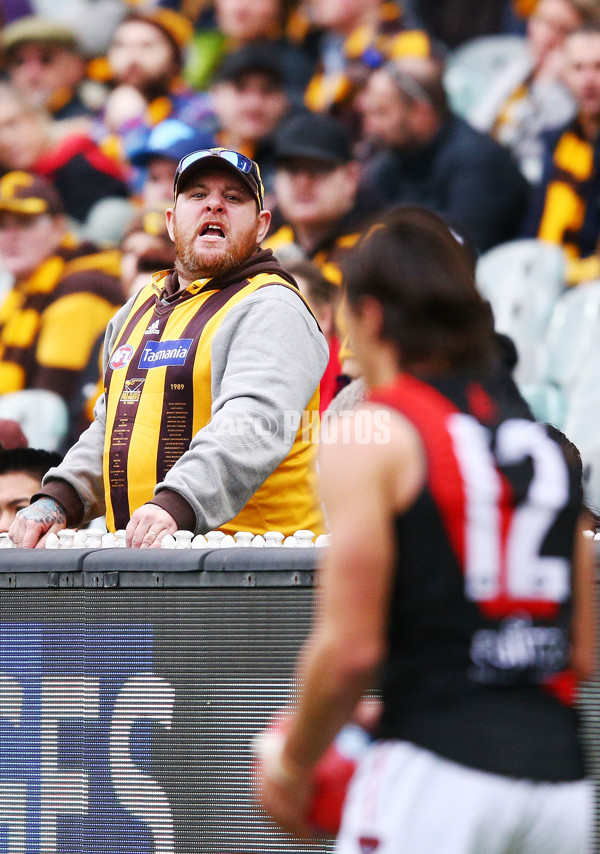 AFL 2018 Round 20 - Hawthorn v Essendon - 617219