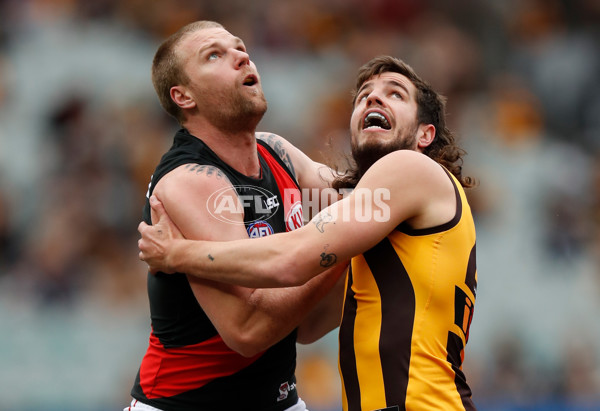 AFL 2018 Round 20 - Hawthorn v Essendon - 617174