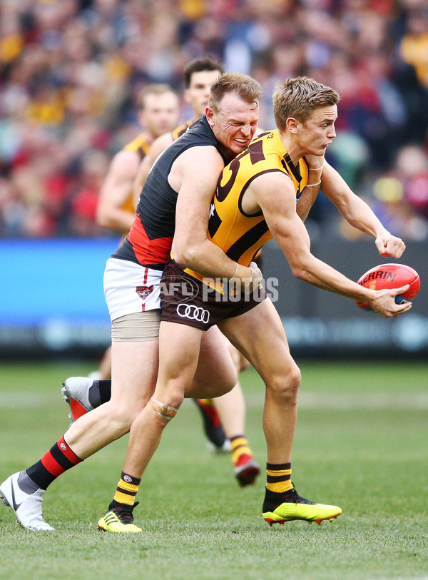 AFL 2018 Round 20 - Hawthorn v Essendon - 617244