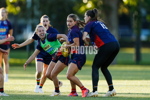 AFLW 2022 S7 Training - Melbourne 171122 - A-573043