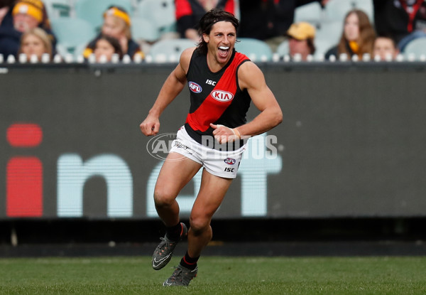 AFL 2018 Round 20 - Hawthorn v Essendon - 617289