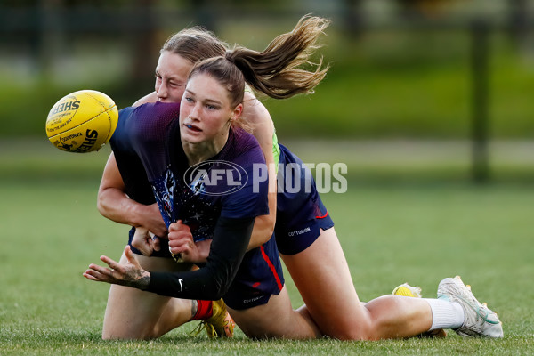 AFLW 2022 S7 Training - Melbourne 171122 - A-576376