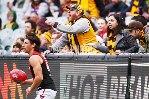AFL 2018 Round 20 - Hawthorn v Essendon - 617221