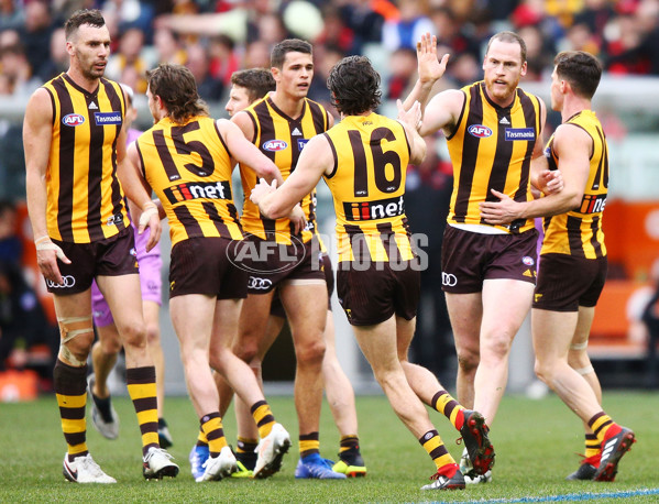 AFL 2018 Round 20 - Hawthorn v Essendon - 617322