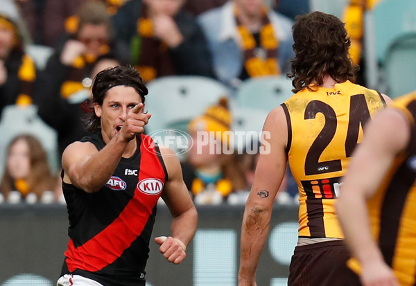 AFL 2018 Round 20 - Hawthorn v Essendon - 617301