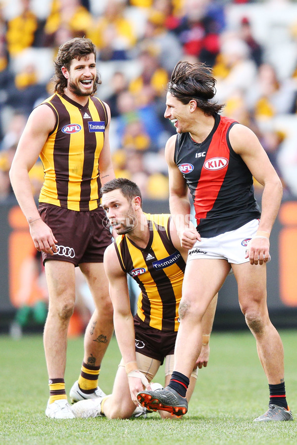 AFL 2018 Round 20 - Hawthorn v Essendon - 617323
