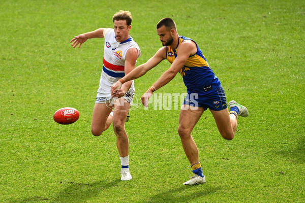 AFL 2021 Round 15 - West Coast v Western Bulldogs - 864462