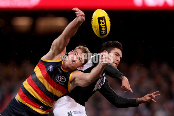 AFL 2018 Round 20 - Adelaide v Port Adelaide - 617531