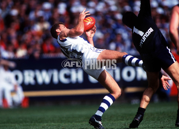 AFL 1999 Grand Final - Kangaroos v Carlton - 137647