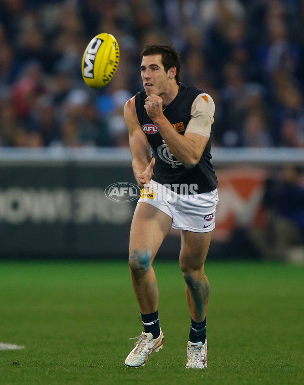 AFL 2012 Rd 15 - Collingwood v Carlton - 262755