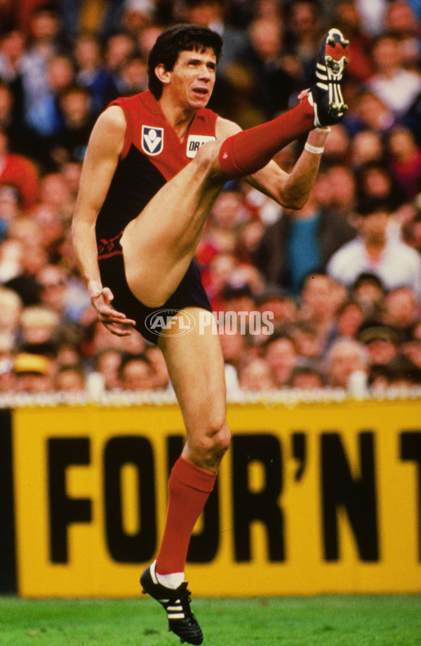 VFL 1980's - Melbourne Demons - 26249