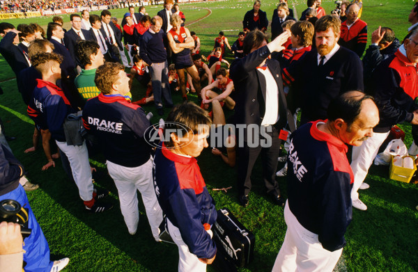 VFL 1988 Grand Final - Hawthorn v Melbourne - 26119