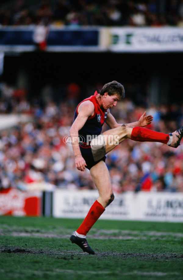 VFL 1980's - Melbourne Demons - 26031