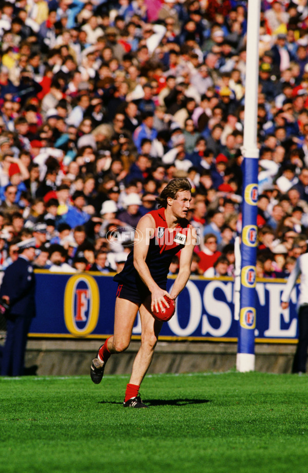 VFL 1989 - Melbourne Demons - 26243