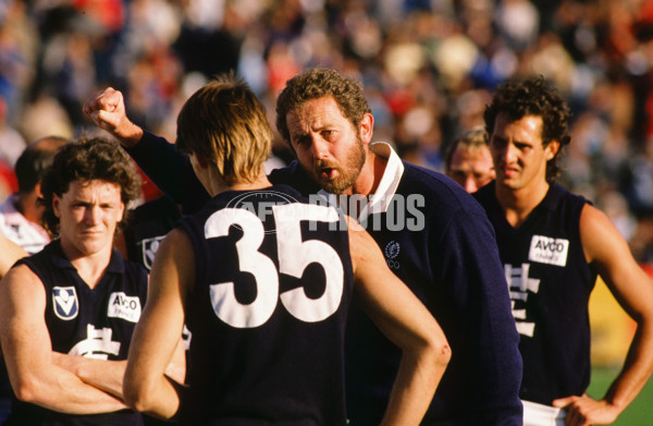 VFL 1987 - Carlton Blues - 26616