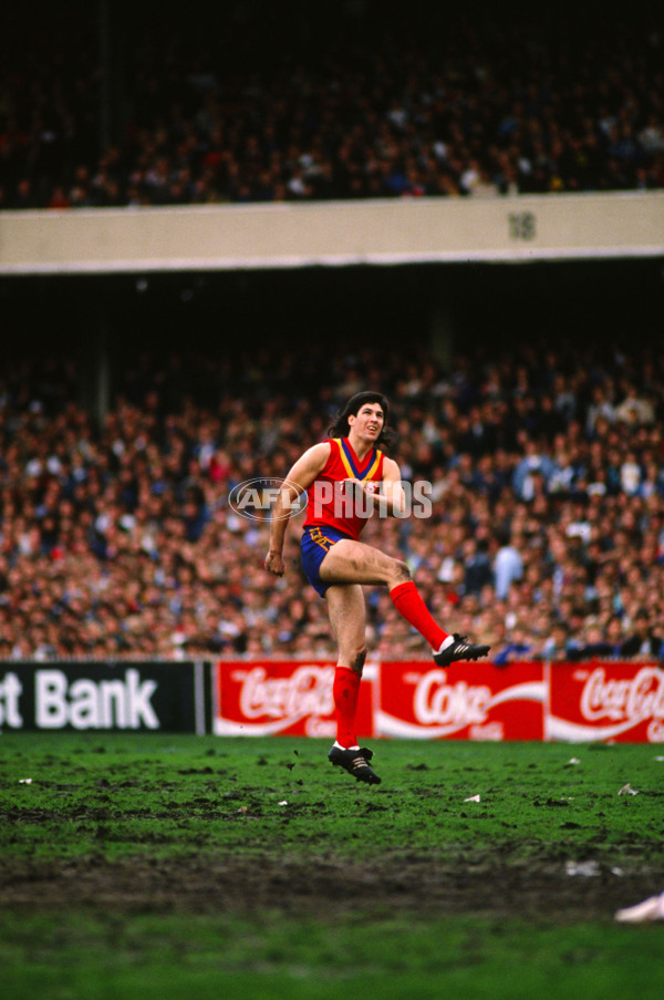 VFL 1989 - State of Origin - 26443