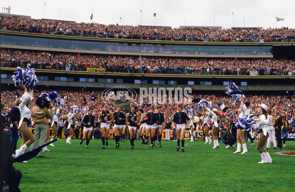 VFL 1987 Grand Final - Carlton v Hawthorn - 26728