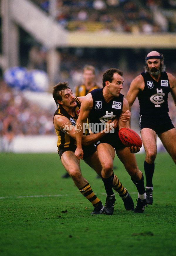VFL 1986 - Carlton v Hawthorn - 26773