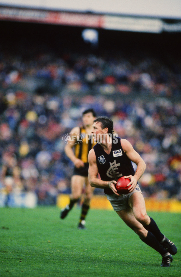 VFL 1987 - Carlton v Hawthorn - 27249