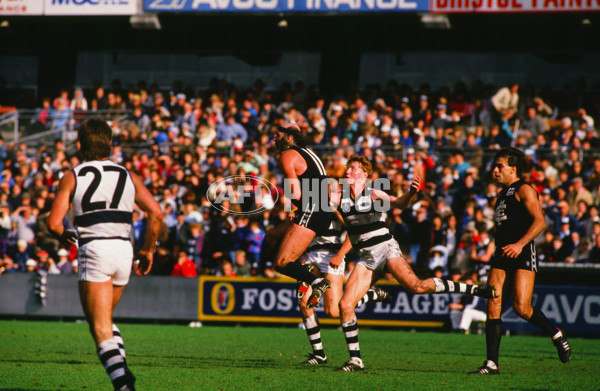 VFL 1986 - Geelong v Carlton - 27293