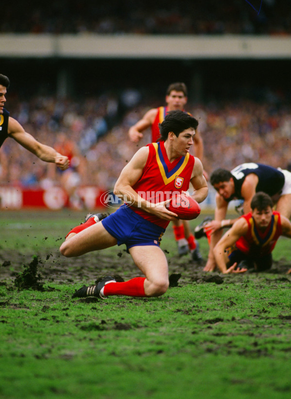 VFL 1989 State of Origin Match - Victoria v South Australia - 28363