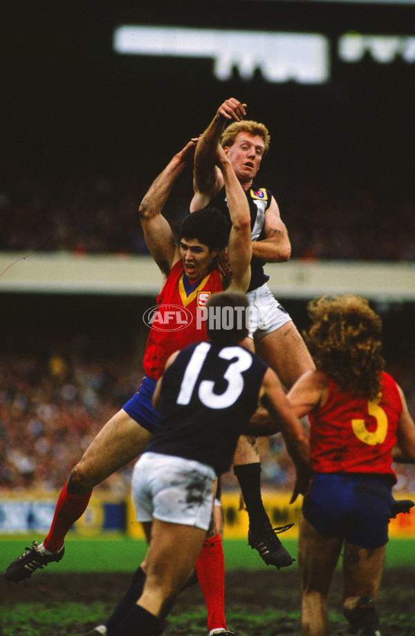 VFL 1989 State of Origin Match - Victoria v South Australia - 28353