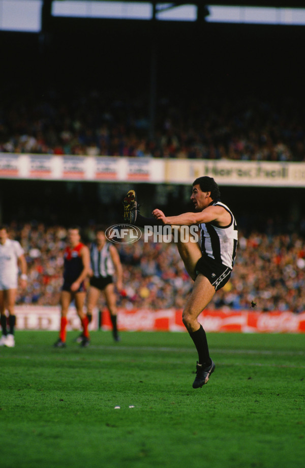 VFL 1988 - Collingwood v Melbourne - 29037