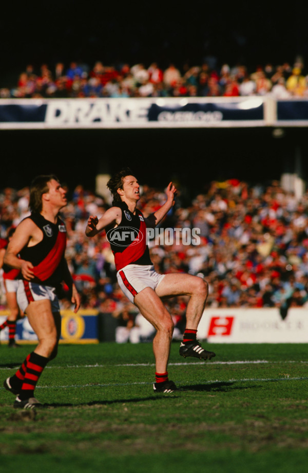 VFL 1989 - Essendon Bombers - 29633