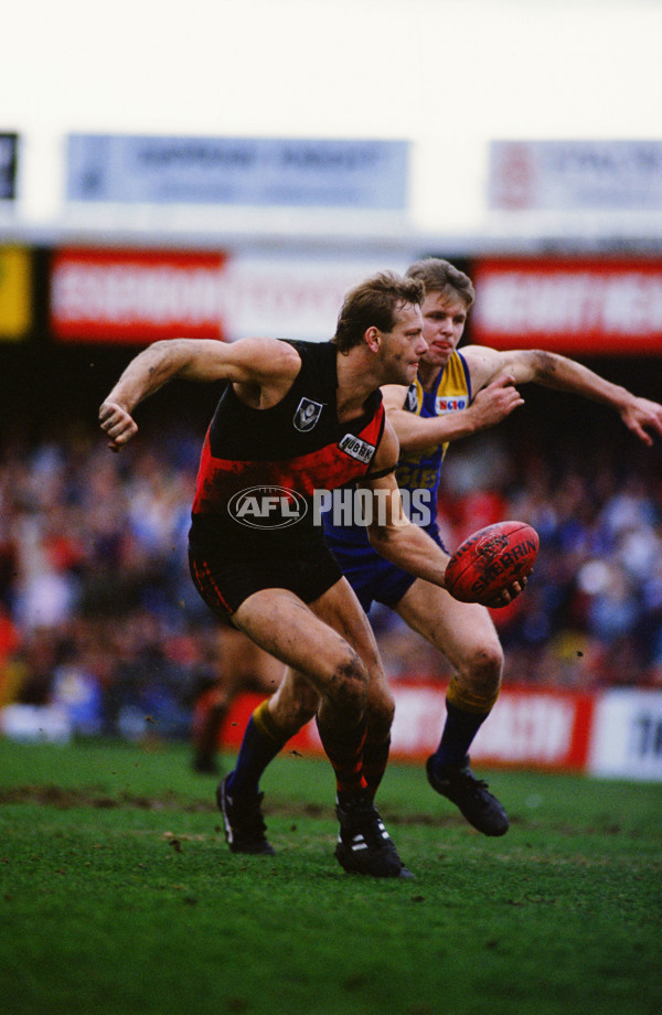 VFL 1980's - West Coast v Essendon - 29825