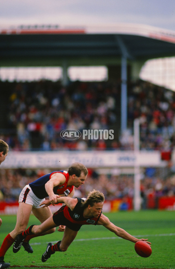 VFL 1988 - Essendon v Melbourne - 29613