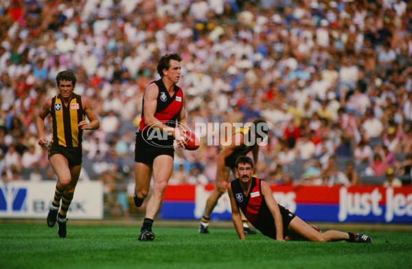 VFL 1985 - Essendon v Hawthorn - 29530