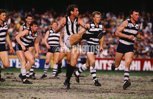 VFL 1988 - Collingwood v Geelong - 28769