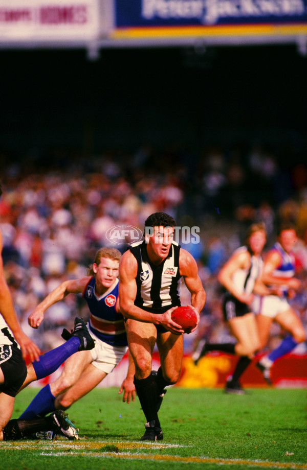 VFL 1988 - Collingwood v Footscray - 29038
