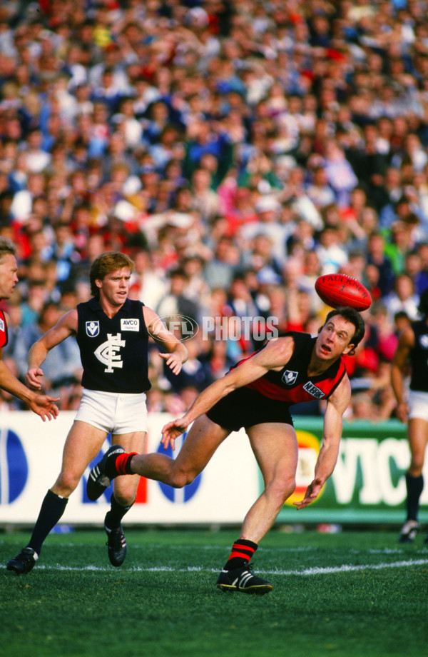 VFL 1988 - Essendon v Carlton - 29535