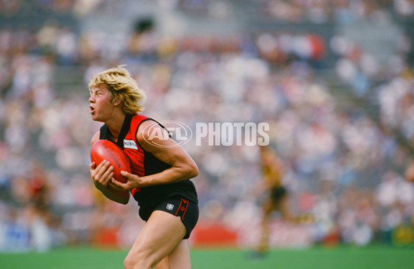 VFL 1989 - Essendon Bombers - 30346